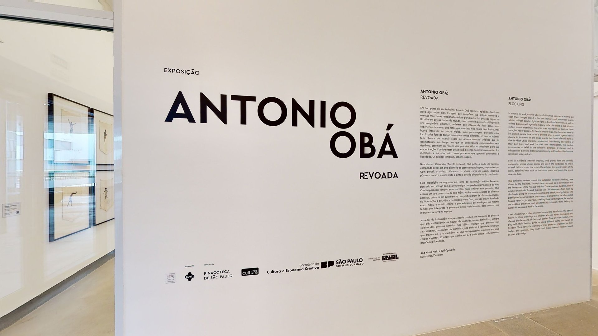 Antônio Obá  Revoada - PinaContemporanea - Tour Virtual